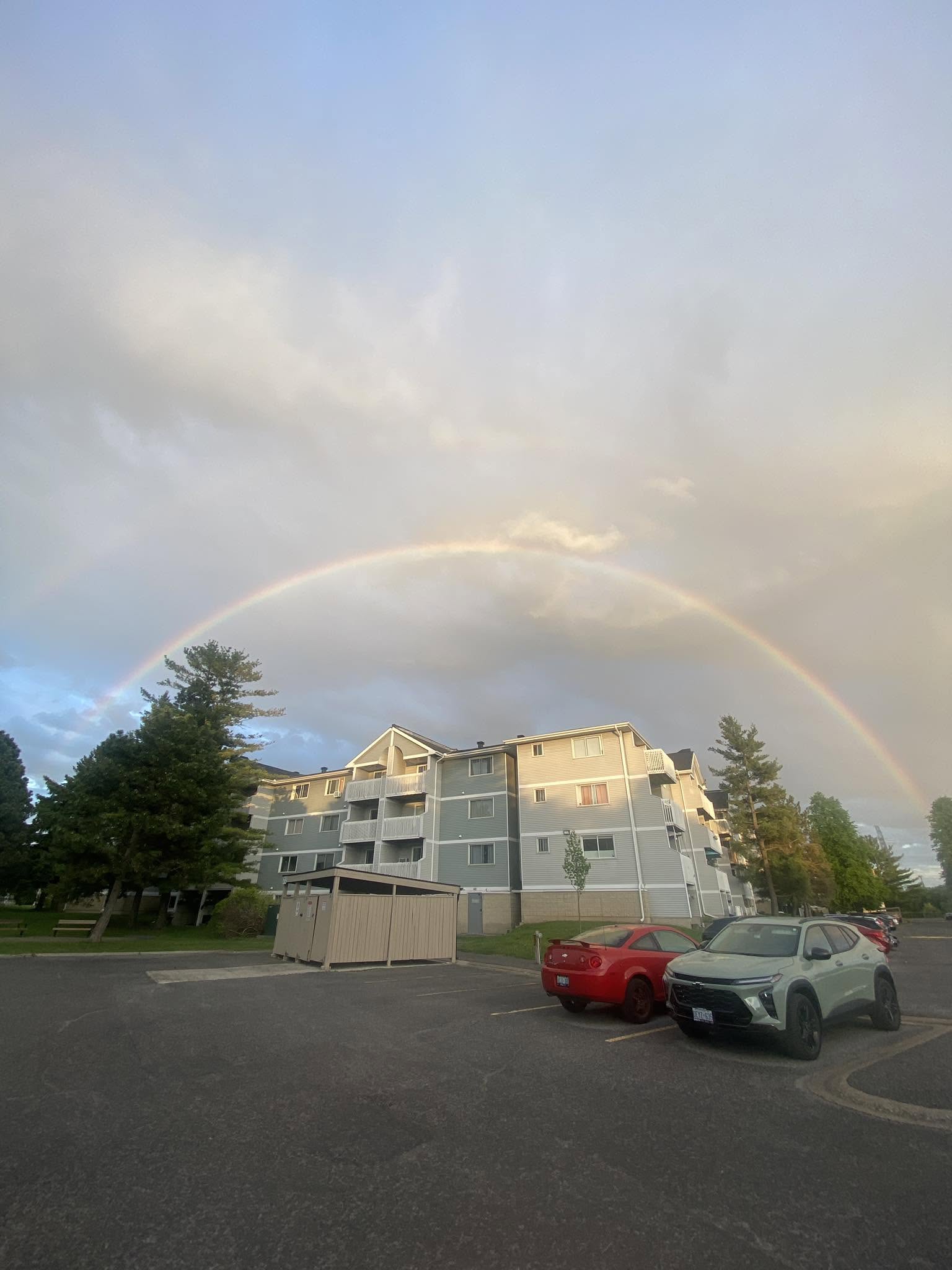 Photo by Viewmount Resident